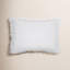 Charlie Linen Lumbar Pillow Cover & Insert-64736860