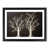 Black Framed selected