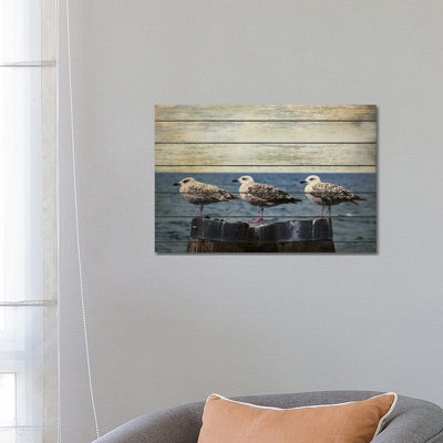 Vintage Seagulls by Susan Ball - Print on Canvas