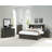 Covertt Solid Wood Bookcase Storage Bed-112517019-26241472
