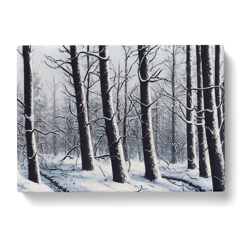 Majestic Winter Forest - Wrapped Canvas, 50cm H x 76cm W x 3cm D