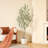 Altman Faux Olive Tree with White Planter-82313840