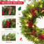 Dried Lighted Garland