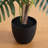 Artificial Areca Palm Tree-324822244
