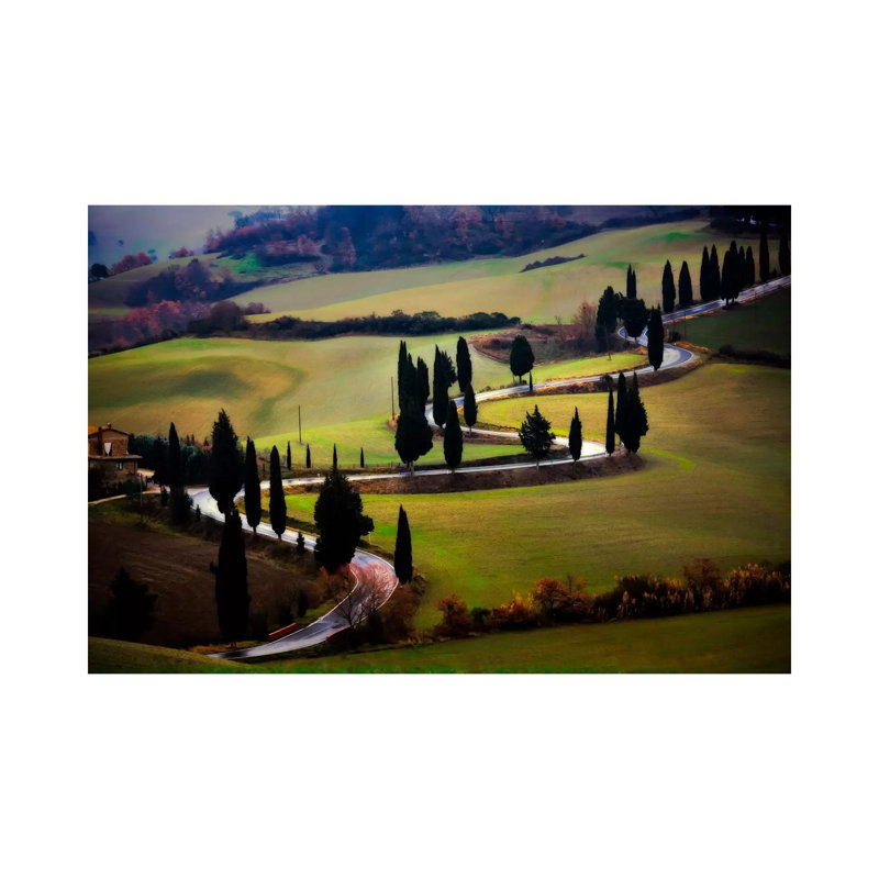 Tuscan Serpent, Tuscany, Italy by Jim Nilsen - Wrapped Canvas Print, 66.04 cm H x 45.72 cm W x 3.175 cm D