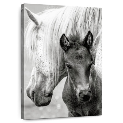 Brampt The Foal And Horse
