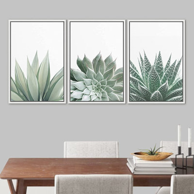 " Desert Cactus Succulent Variety Nature Wilderness " 3 - Pieces