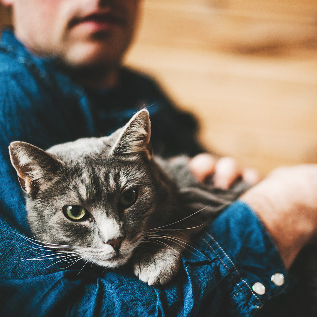 Mann und seine graue Katze von Knape - Druck ohne Rahmen auf Leinwand