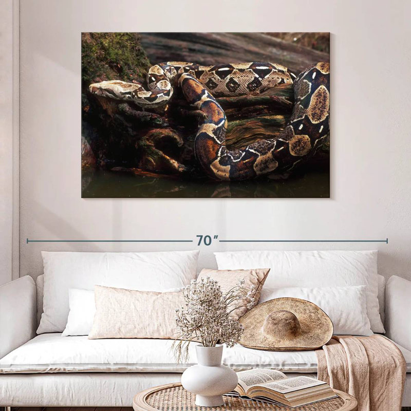 Brampt Columbia Red Tail Boa, 32" H x 48" W