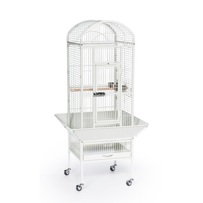 Cage à oiseau Lucian