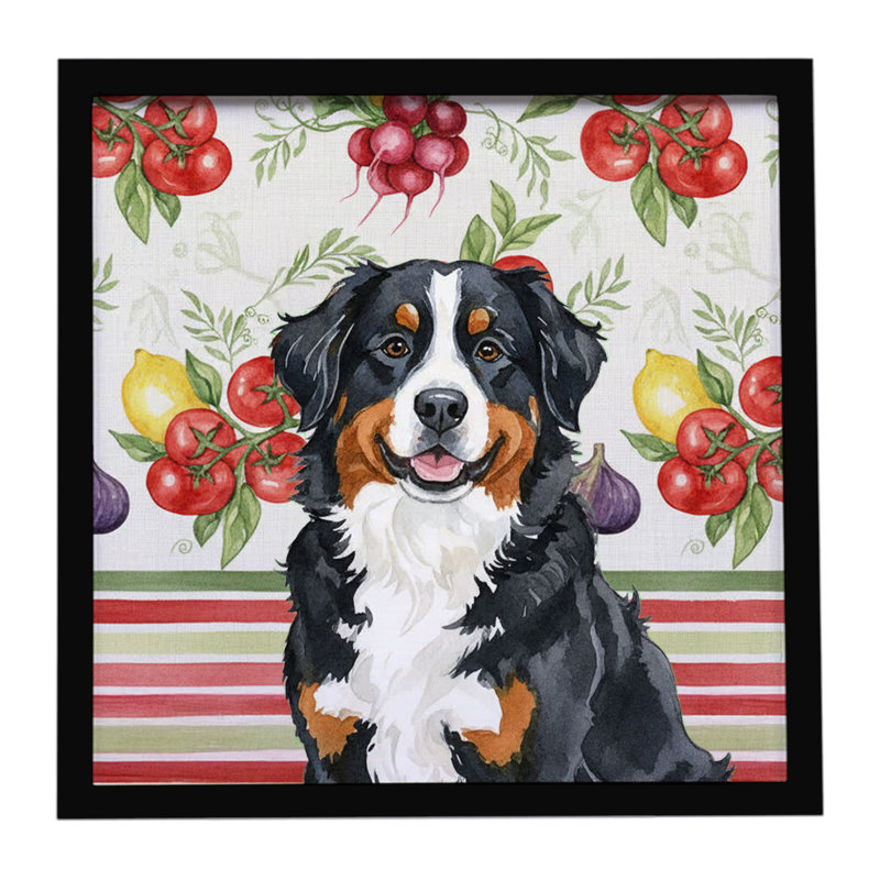 Bernese Mountain Dog Vegetables Framed Metal Print
