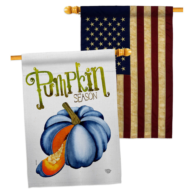 Double Sided 40'' H x 28'' W Polyester House Flag