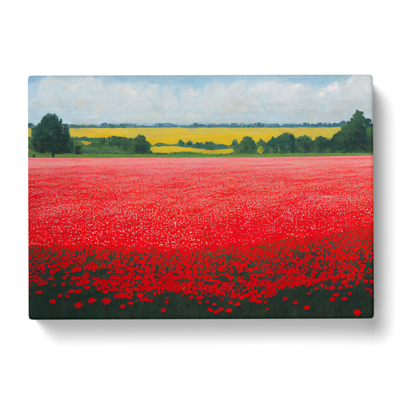 An Enigmatic Poppy Field Flowers - Wrapped Canvas, 35cm H x 50cm W x 3cm D