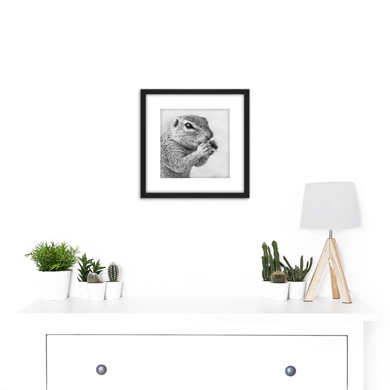 Squirrel Rodent Eating Black White Animal Photo - Single Picture Frame Print