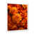 White Single Picture Framed selected