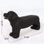 Élégant banc pour chien noir mat MGO - aucun assemblage requis