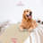 Personalized Dogs-Cats Blanket Custom Name & Paws-85515457-86380122-87708888