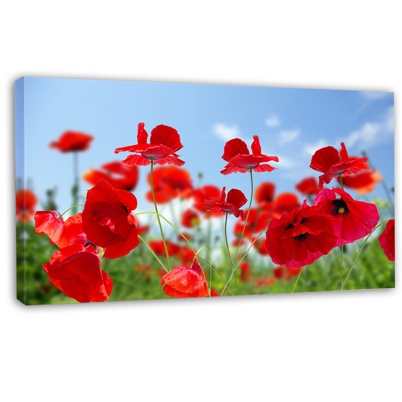Reproduction de photo sur toile tendue «close-up of amazing, H 16 po x l 32 po