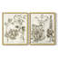 «Sepia Botanical Journal III», reproduction encadrée de qualité supérieure - prête à être accrochée - aucun clou requis - aucun clou requis-1860964086-1860964080