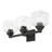 Ashanni 3 - Light Dimmable Vanity Light