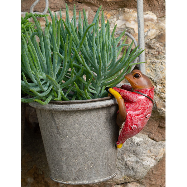 Beatrix Potter, M. Jeremy Fisher, Compagnon De Canne