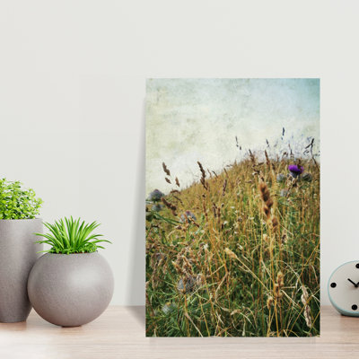 Art contemporain contemporain, paysage paisible biologique
