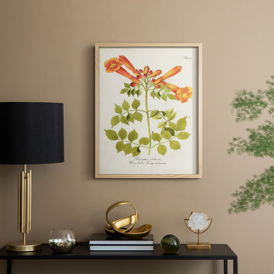«Tropical Trumpet Flowers III», reproduction encadrée - bois massif