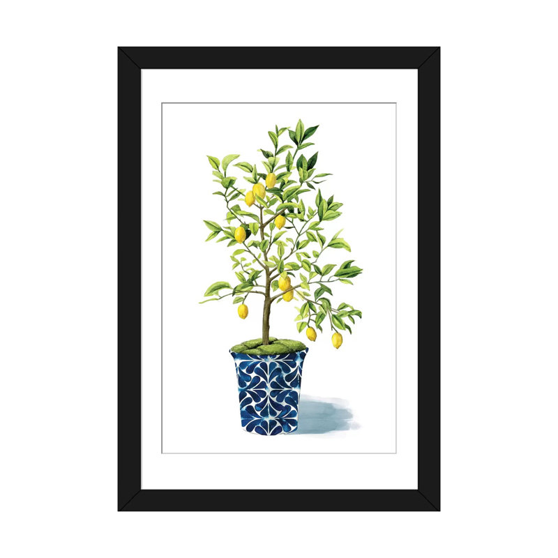 «Fruit Tree II», impression sur toile, H 24 po x l 16 po x P 1 po, Papier d'art encadré noir, Blanc