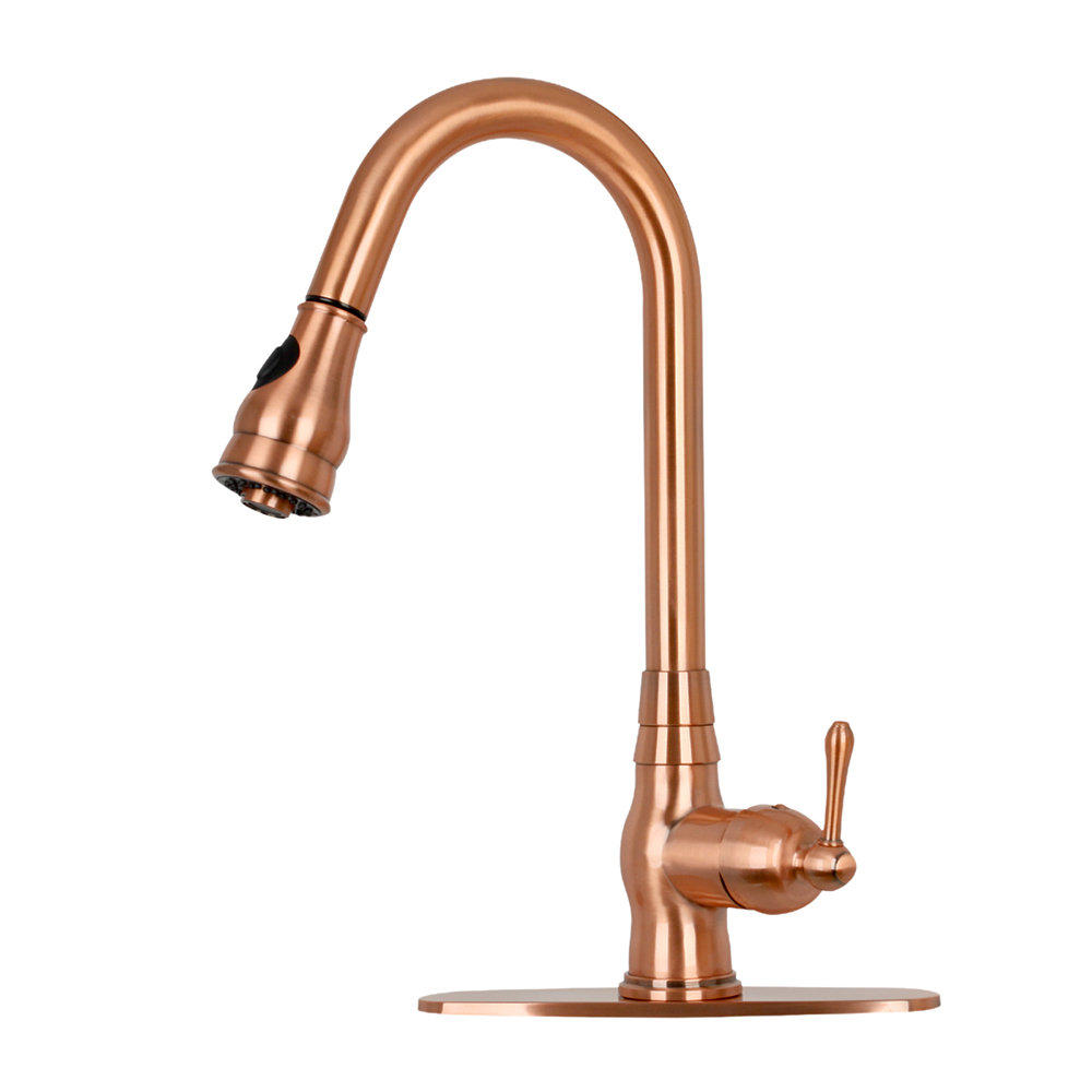 Akicon Pull Down Kitchen Faucet & Reviews Wayfair