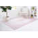 Rizo Oriental Indoor Rug