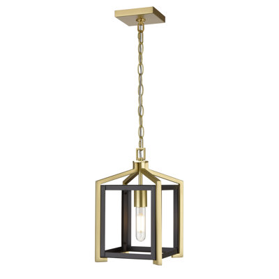 Luminaire suspendu à chaîne 1 lumière 8 "Maestre