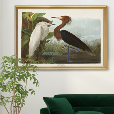Héron mauve - reproduction d'art sur toile