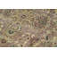 Wool Oriental Area Rug in Brown