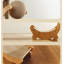 Grattoir en sisal pour chat avec cadre en bois - griffoir pour chat confortable et durable