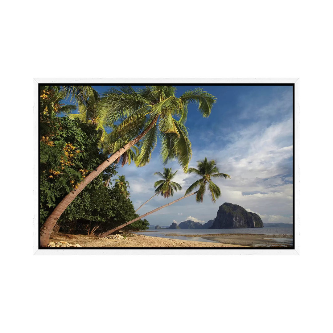 Palm Trees, Pinagbuyutan Island, Palawan, Philippinen von Tim Fitzharris - Galerie-verpackte Leinwand Giclée auf Leinwan...