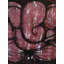 Ganapati, peinture acrylique abstraite sur toile par Akash Bhisikar
