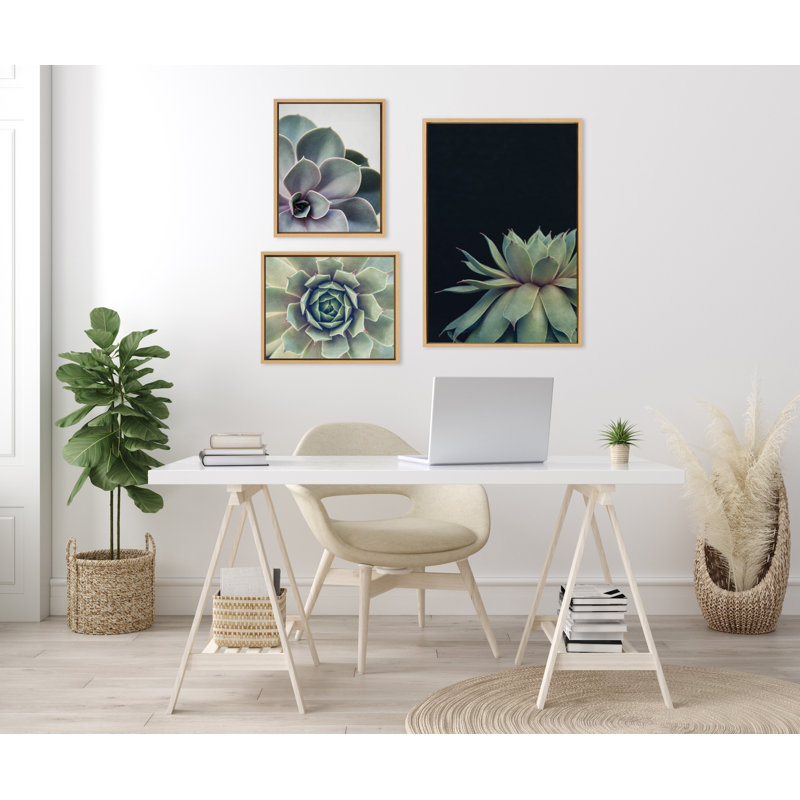 «Succulent 8, Succulent 1 and Succulent 5» par Emiko et Mark Franzen, ensemble de 2 toiles encadrées, Naturel