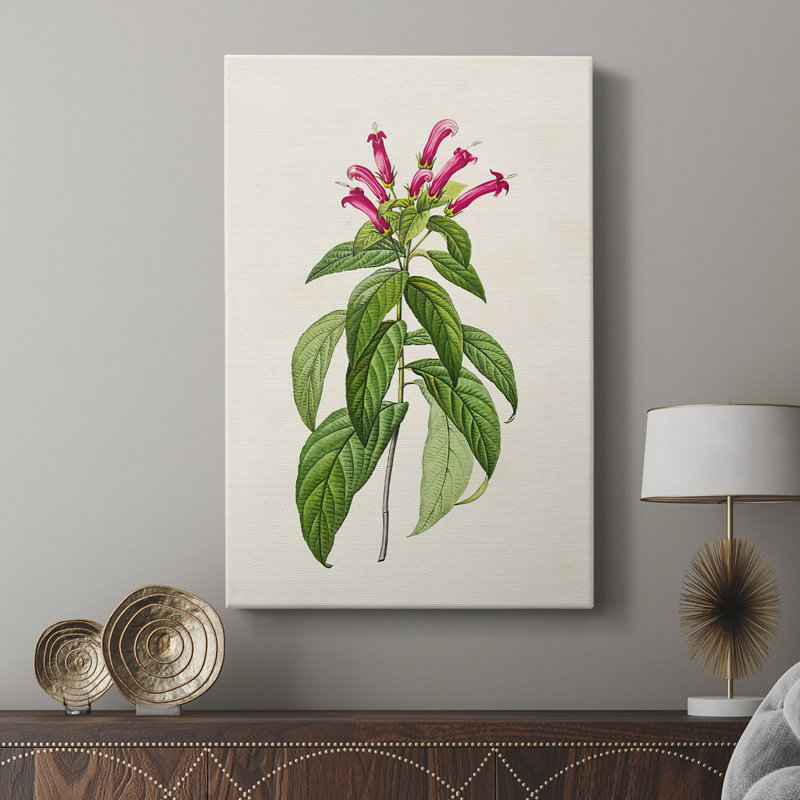Jolies roses botaniques - galerie Cavas personnalisée, H 60 po x l 40 po