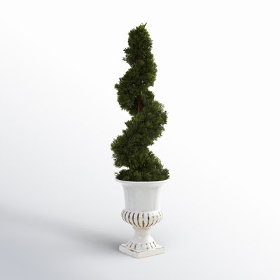 31'' Faux Cedar Topiary in Ceramic Urn