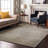 Premium Machine Washable Cerrito AMF565 Beige Rug-109607215