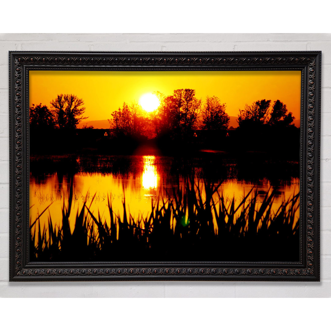 Orange Sunset River - Druck