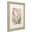 «Jadaya Tulips» par Color Bakery, impression encadrée-20487861-20487859-69311140