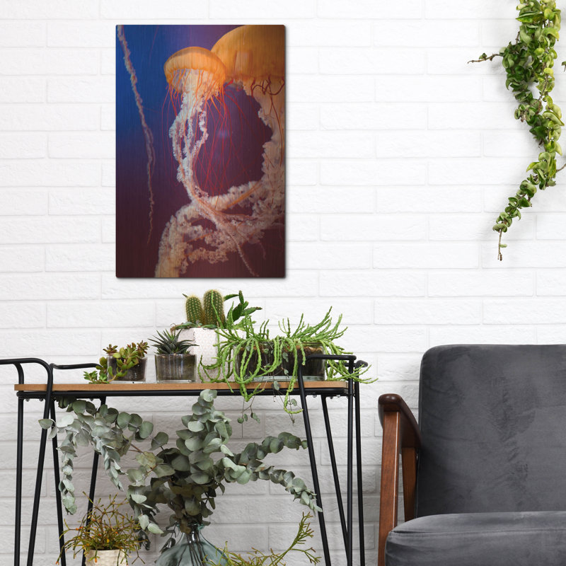 «Jelly 3» par PhotoINC Studio, H 16 po x l 12 po
