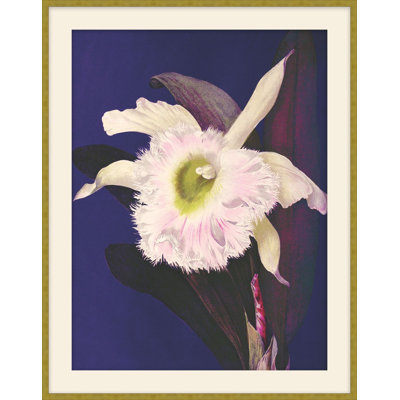 Jewel Blooms 3 Print
