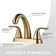 Centerset 2-handle Bathroom Faucet with Drain Assembly
