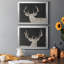 Brow Tine Deer I - ensemble de 2 peintures encadrées-1661126959-1661126958
