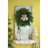 Santa Décor