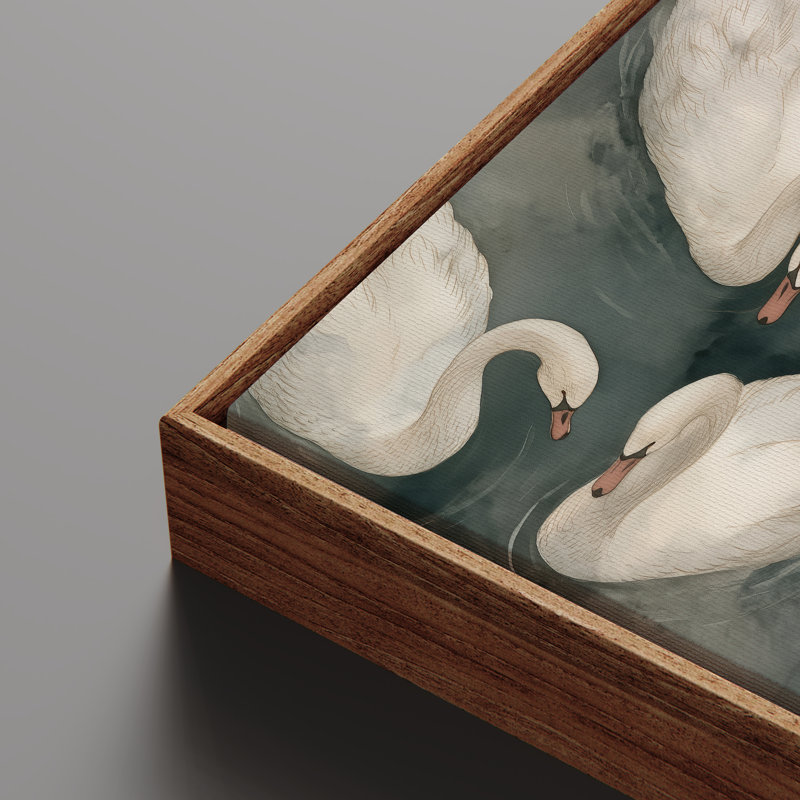 «Graceful White Swans Natation on Calm Water Nature», reproduction d'art encadrée, H 16 po x l 24 po, Naturel