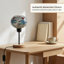 Wood Desk Lamp-1586691984