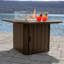 Table de foyer d'extérieur en polyrésine au propane avec couvercle Strella H 24 po x l 40 po-887247059